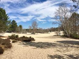 Img1 RD Noisy plaine de Charme Copie