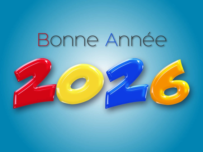 image-bonne-anne-2026-arlequin